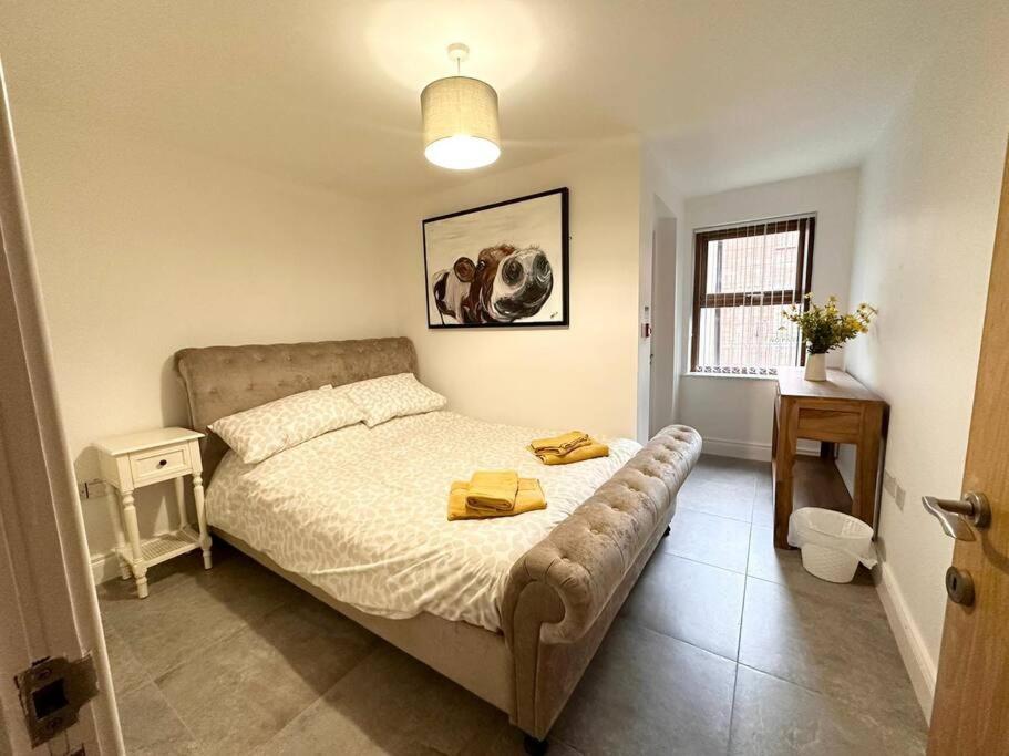 Boutique Style Apartment Belfast Exterior photo